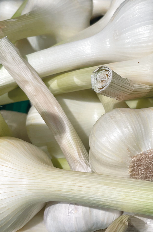 Knoblauch im Markt EDEKA Nils Meyer